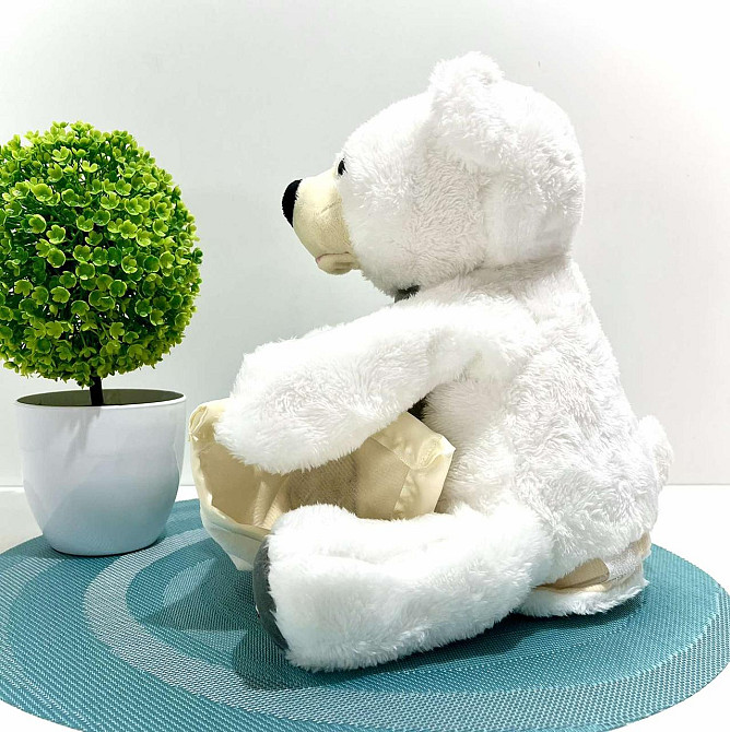 Ведмедик казкар інтерактивний грає в хованки розповідає казки Білий (M 5843 I UA) Чернигов - изображение 4