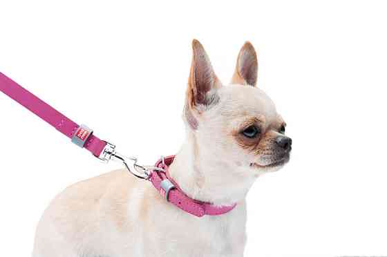 Повідець для собак шкіряний WAUDOG Classic, Ш 14 мм, Дов 122 см рожевий Коломия