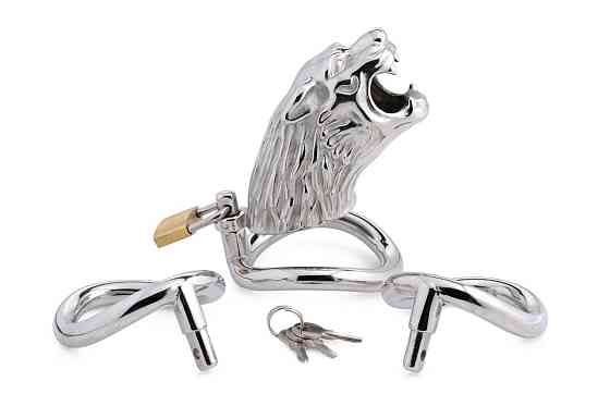 Клітка для пеніса Master Series: Tiger King Cock Cage With Lock, три кільця, замок, три ключі Sex Aura Київ