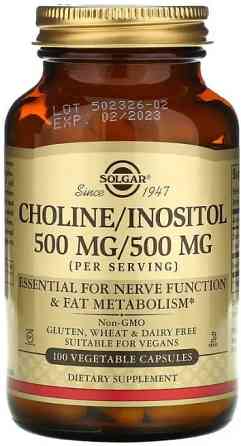 Холін і Інозитол Solgar Choline/Inositol 100 вег капс Київ