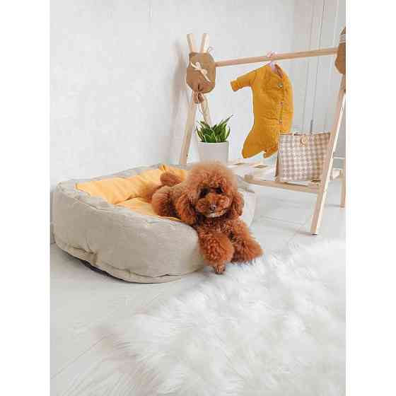 Лежак для собак і кішок Incor Donut жовтий Київ