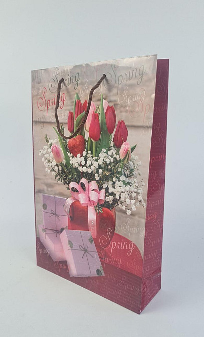 Великий паперовий пакет вертикальний 25/37/8 (артBV-153) (12 шт.) Харків - фото 1