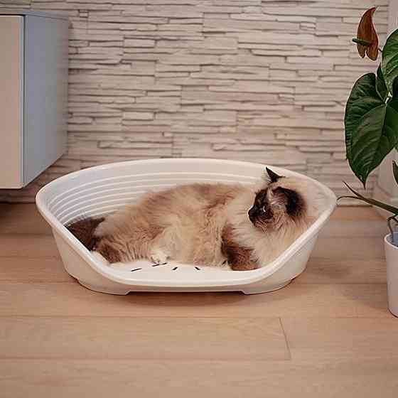 Пластиковий лежачик для котів і собак Ferplast Siesta Deluxe (Ферпласт Сеєста Деллюкс) 61.5 х 45 х h 21.5 см - SIESTA DELUXE 4, чорний Запоріжжя