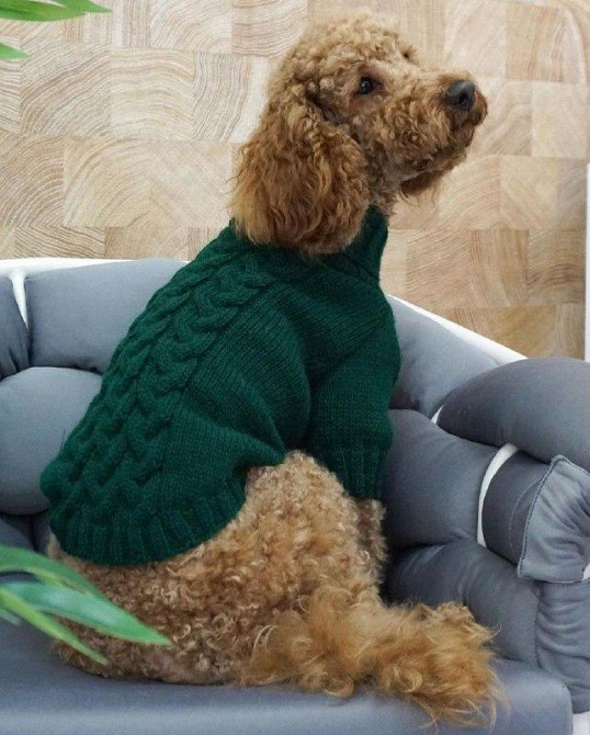 В'язаний светр для собак теплий Dogs Bomba косичка вовняний светр під горло Смарагд 3 Одеса - фото 1