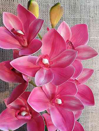 Штучна латексна орхідея цимбідіум у пластиковому кашпо малинова Дніпро