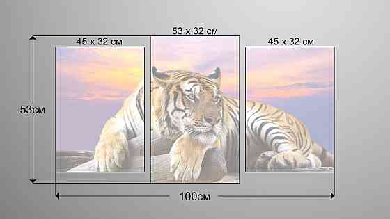 Модульна картина Тигр (53х100см) Art-209_3 Київ