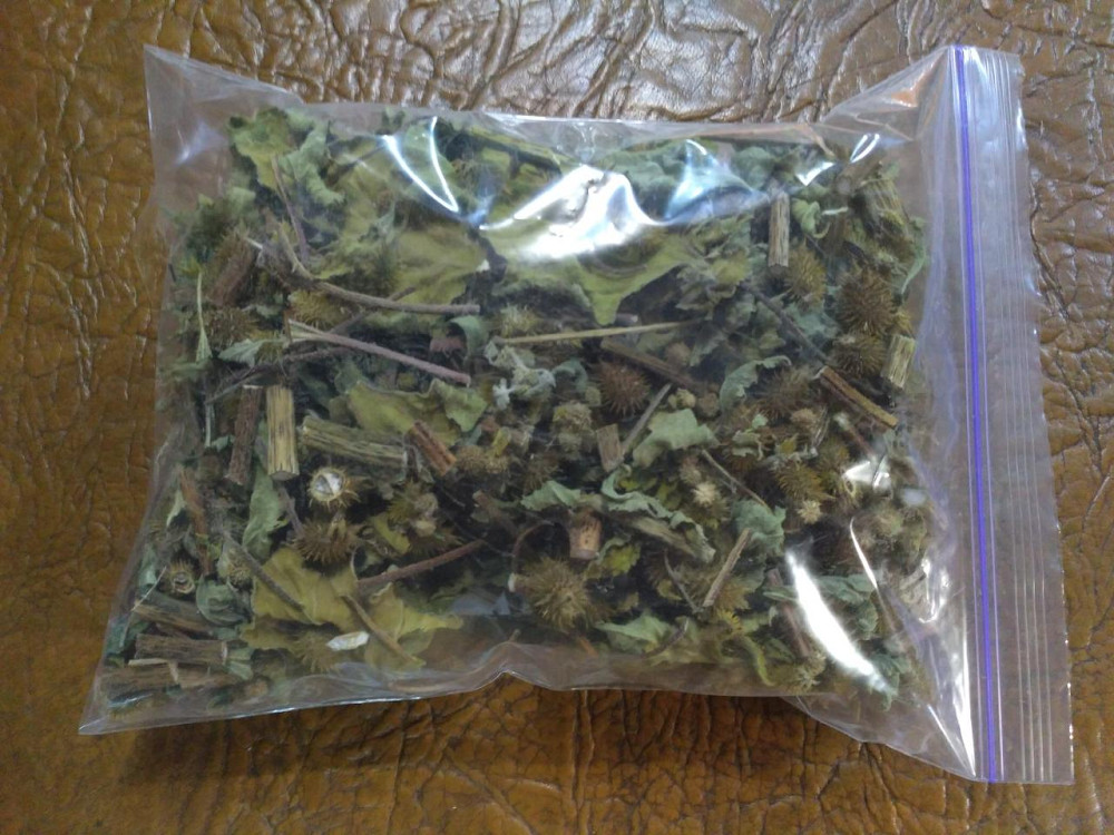 Нетреба звичайна (Дурнишник обыкновенный) 100г master sem Киев - изображение 2