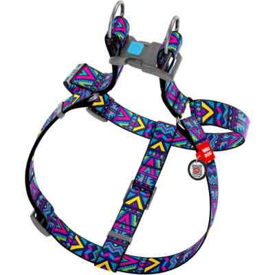 Шлей для собак WAUDOG Nylon с QR паспортом анатомическая "Инди" S (4963) Винница