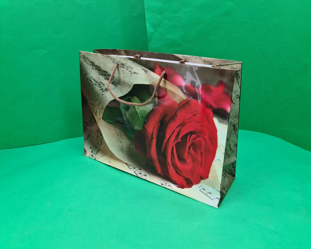 Паперовий великий горизонтальний пакет 36/22/10 (артBG-095) (12 шт.) Харків - фото 1