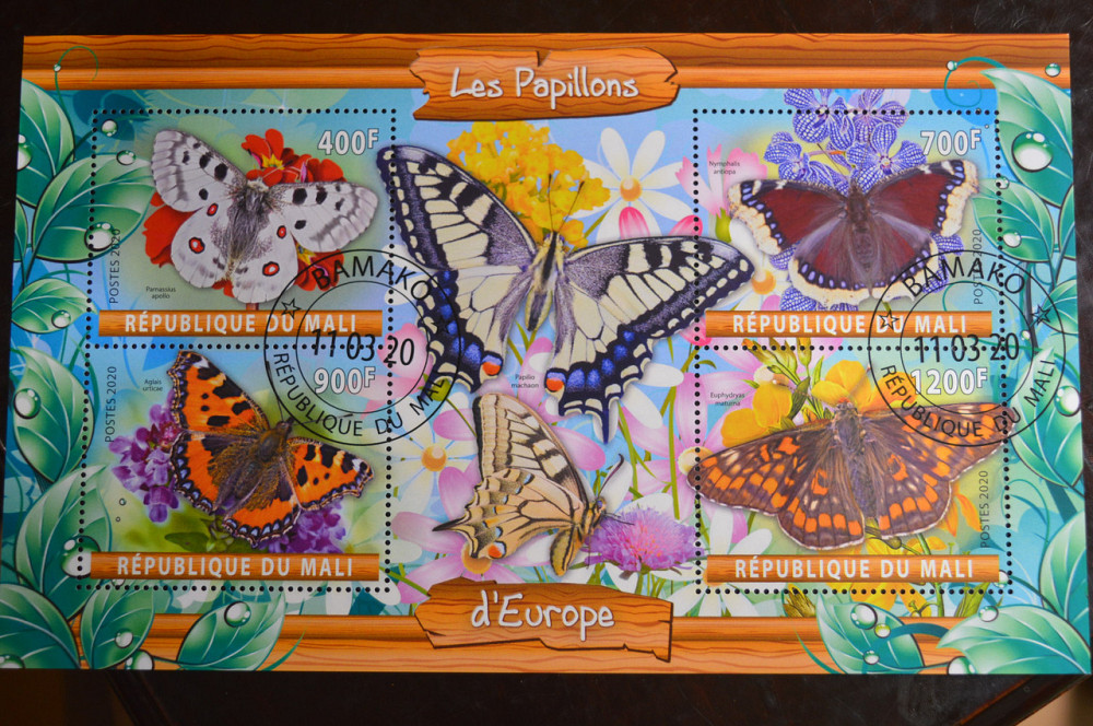 Мали. Марки. Фауна. Блок. 2020 год (В-2) Полтава - изображение 1