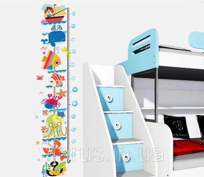 Інтер'єрна наклейка ростомір морський Київ - фото 2