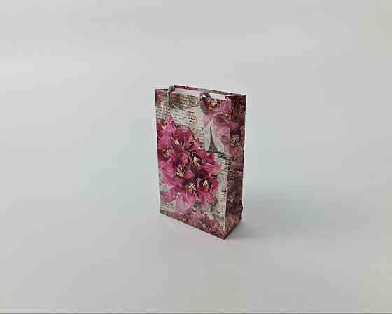 Пакет паперовий подарунковий малий 11/18/5 (арт М124) (12 шт.) Харків