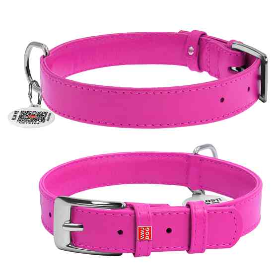 Нашийник для собак шкіряний WAUDOG Glamour з QR паспортом, без прикрас, M, Ш 20 мм, Дов 30-39 с Коломия