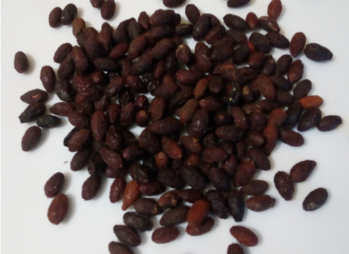 1кг., Кизил (ягода) Київ - фото 1