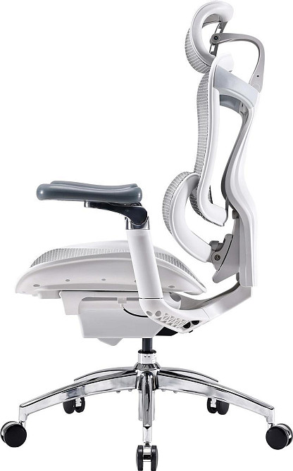 Крісло офісне Sihoo Doro C300 Pro Mesh White (DORO-C300-PRO-M102) ( 11715 ) Харків - фото 19