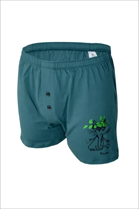 Чоловічі труси сімейні з бавовни Lans 01/021 M, Зелений Киев - изображение 1