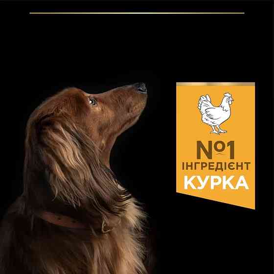 Сухий корм PRO PLAN Small&Mini Adult 1+ Everyday Nutrion для дорослих собак дрібних порід, з куркою, 3 кг Київ