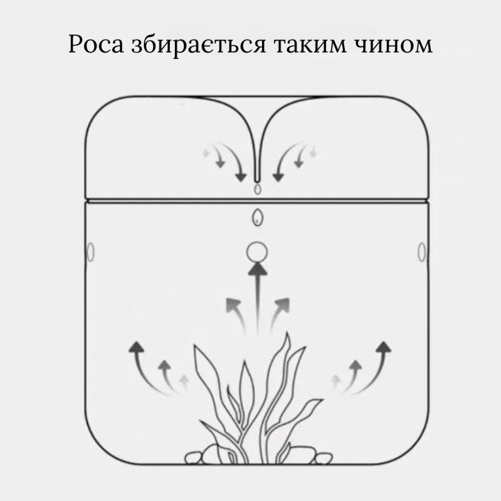 Емкость для флрариума, мосариума, бонсай 1.55 л 15 х 11 см Одесса - изображение 4