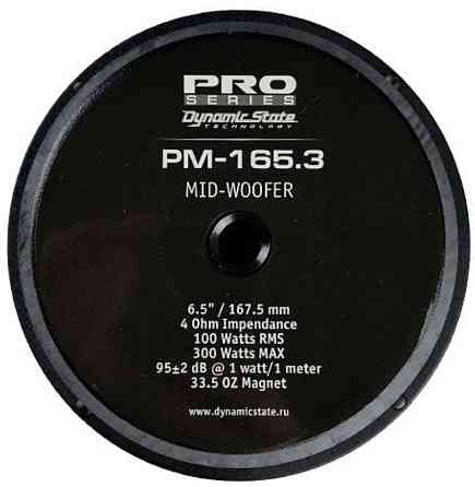 Естрадна акустика Dynamic State PM-165.3 PRO. Харьков