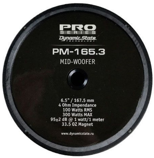 Естрадна акустика Dynamic State PM-165.3 PRO. Харьков - изображение 3