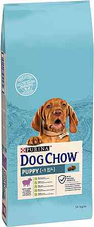 Сухий корм для цуценят Dog Chow Puppy Lamb з ягням, 14 кг Вінниця