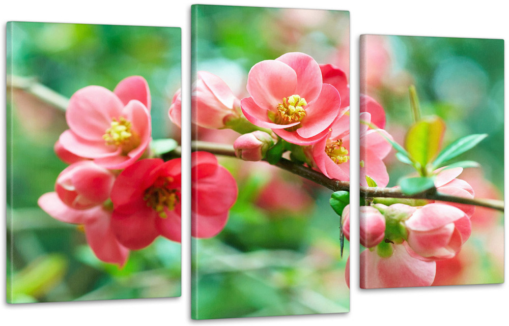 Модульная картина Цветы Весна Art-110_3 70x130 см Киев - изображение 1