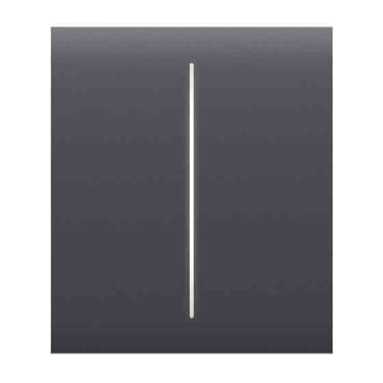 Кнопка Ajax CenterButton (2-gang) graphite для двоклавішного вимикача Киев