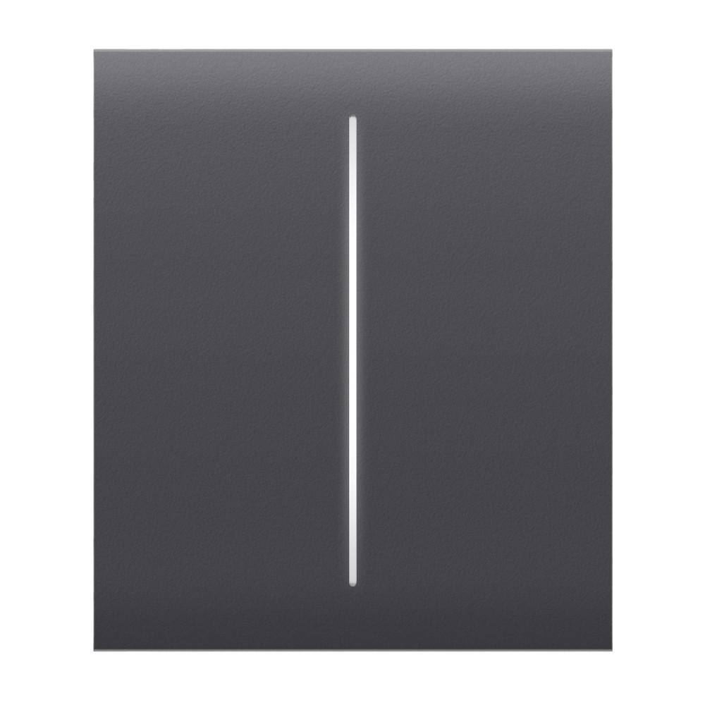 Кнопка Ajax CenterButton (2-gang) graphite для двоклавішного вимикача Киев - изображение 1