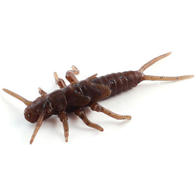 Силікон рибальський FishUP Stonefly 0.75" 012 - Chaos (12шт/уп) (1864.00.36) Вінниця - фото 1