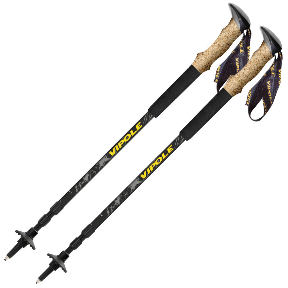 Палки трекинговые Vipole Discovery Cork DLX (S25 12) Вінниця - фото 1