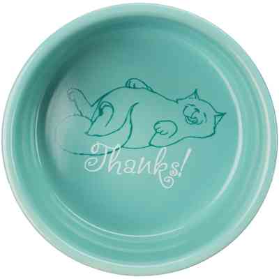 Посуда для кошек Trixie "Thanks for Service" 300 мл/11 см (4011905247939) Винница