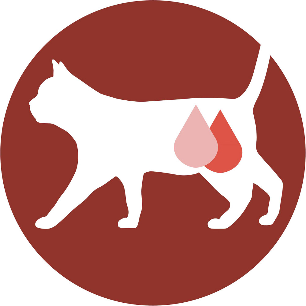 Влажный корм PURINA ONE Sterilcat для взрослых стерилизованных кошек, кусочки в соусе, с индейкой и зеленой фасолью, 85 г Киев - изображение 4