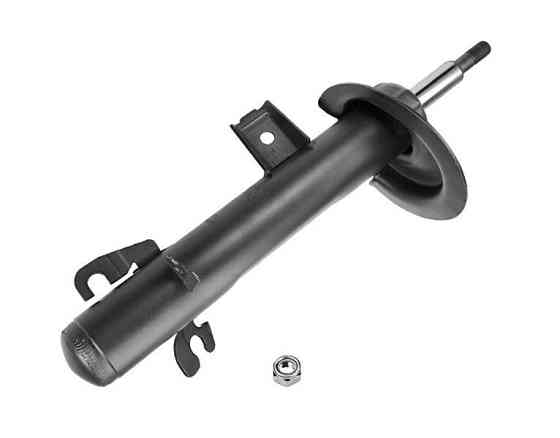 Амортизатор передній лівий Raiso (Швеція) Mini Cooper R53, Міні Купер Р53 01-06 #RS290237 UAUSLQT22 Ковель