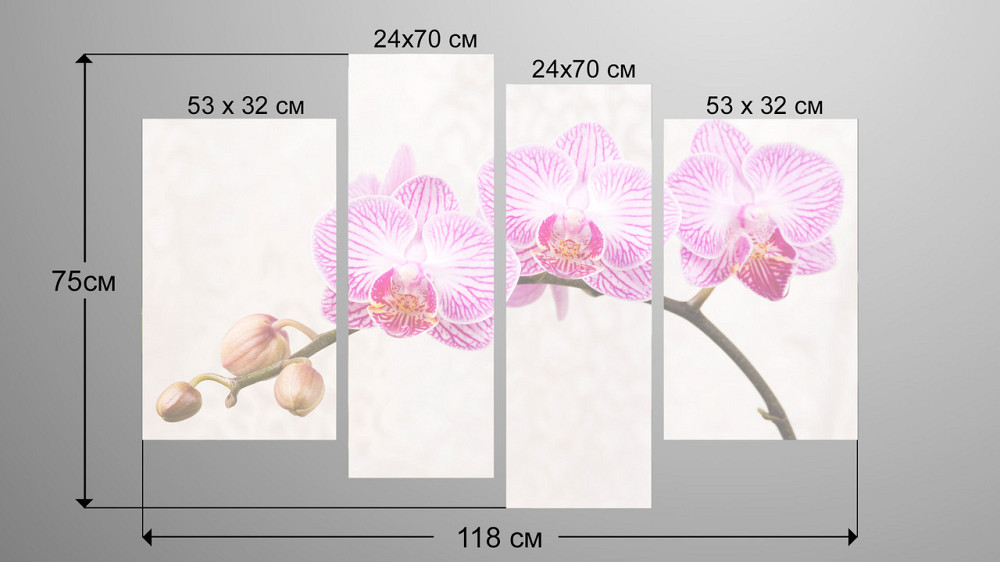 Модульна картина Квіти Орхідея Art-96_4 Київ - фото 3