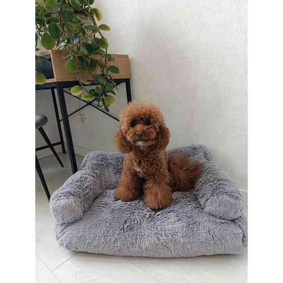 Хутряний диван лежак для собак і кішок спальне місце для тварин знімни Incor сірий 10079 Київ