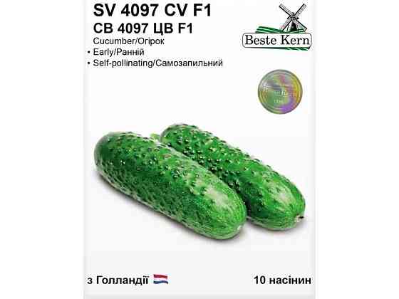 Огурец СВ 4097 ЦВ F1 (10 семечек)/(5 пачек в упаковке) ТМ Beste Kern Киев