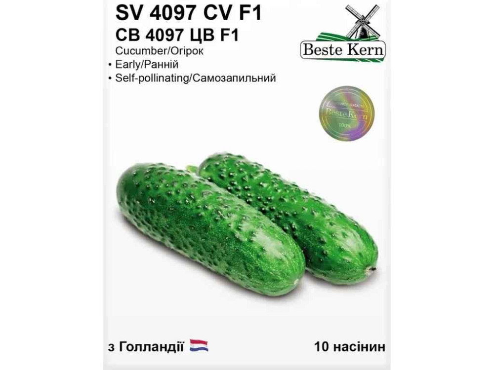 Огурец СВ 4097 ЦВ F1 (10 семечек)/(5 пачек в упаковке) ТМ Beste Kern Киев - изображение 1
