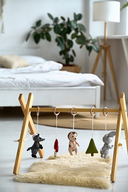 Детский тренажер WoollyFox 