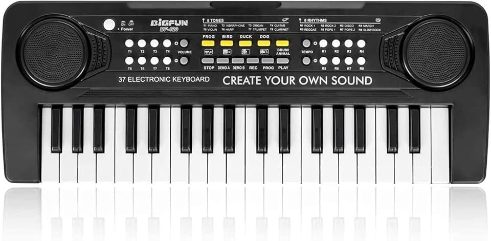 Дитяче піаніно Bigfun BF-420 Луцк - изображение 1