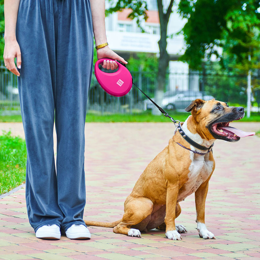Поводок-рулетка для собак WAUDOG R-leash с контейнером для пакетов, светоотражающая лента, L, до 40 кг, 5 м, розовый Киев - изображение 8