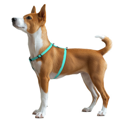 Шлей для собак WAUDOG Magnet анатомическая Н-образная с QR-паспортом, магнитная пряжка-фастекс S тиффани (262227) Винница - изображение 5