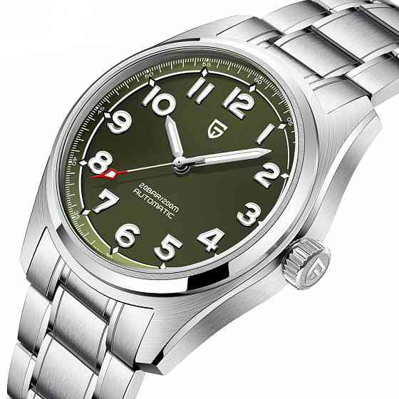 Pagani Design PD-1717 Silver-Green SBR Київ