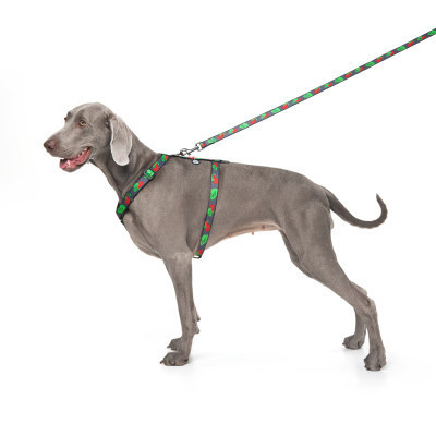 Шлея для собак WAUDOG Nylon з QR паспортом анатомічна H-подібна "Калина" L (5160-0228) Вінниця - фото 3