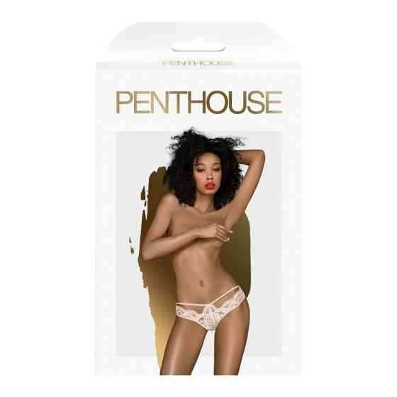 Трусики Penthouse Mermaid fantasy rosa (L/XL) Sex Aura Київ