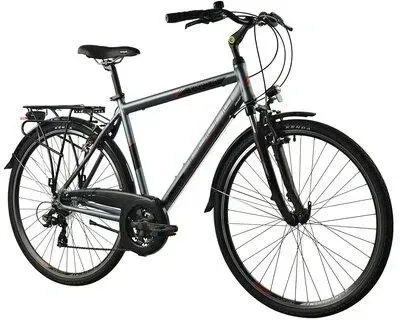 Велосипед Indiana X-Road 1.0 M21 Męski Szary 28 2024 Киев