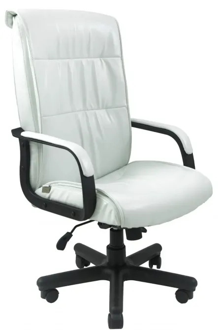 Офісне Крісло Керівника Richman Rio Lucky White Пластік Річ М2 AnyFix Білий Київ - фото 1