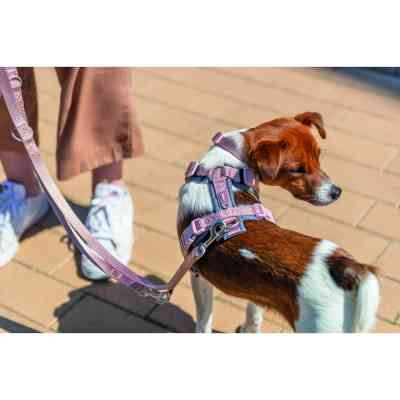 Шлея для собак Trixie Premium Трекінгова L 70-85 см 25 мм Рожево-сіра (4053032678934) Вінниця
