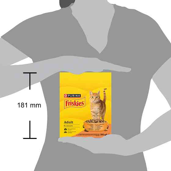 Сухий корм FRISKIES для дорослих котів, з куркою та овочами, 300 г Київ