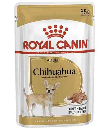 Роуал Canin Chhuahua (Рояв Канін Чіхуахуа Едалт) вологий корм для собак чіхухуахуа від 8 місяців 0,085 кг. Запоріжжя