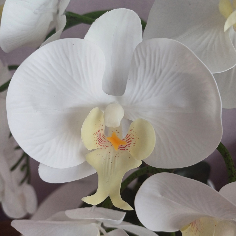 Штучна латексна орхідея преміум у білому керамічному кашпо на п'ять гілок біла Дніпро - фото 9